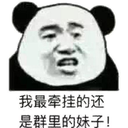 爆笑熊猫头微信斗图表情包