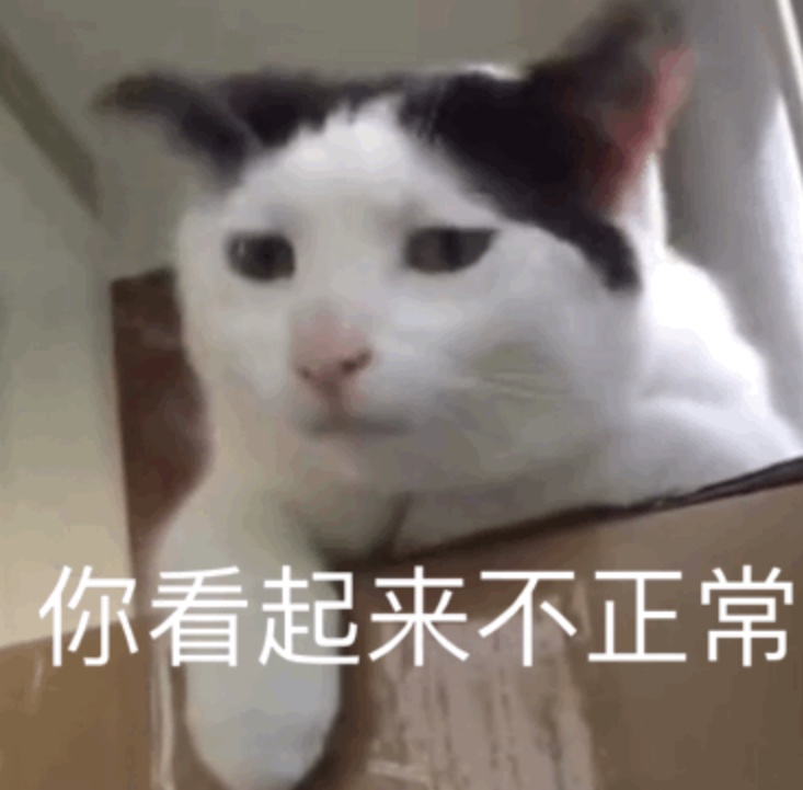 微信小猫表情包