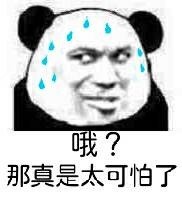 恶搞微信爆笑熊猫头斗图表情包