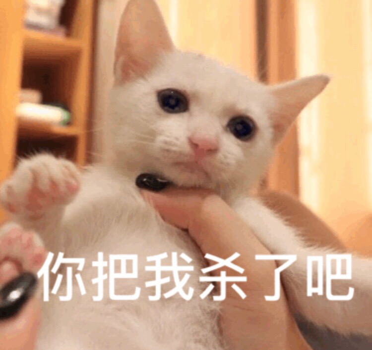微信小猫表情包