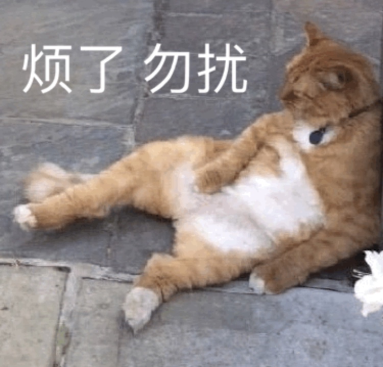微信小猫表情包