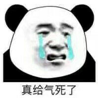 微信幽默熊猫头斗图群聊表情包