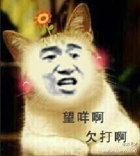 微信恶搞金馆长熊猫头怼人表情包