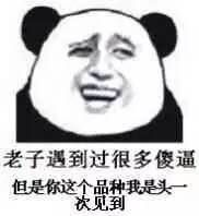 微信逗比撕逼熊猫头表情包