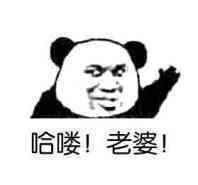 微信爆笑搞怪熊猫头撕逼斗图表情包
