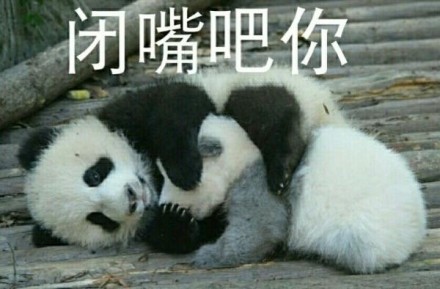 微信恶搞金馆长熊猫头怼人表情包