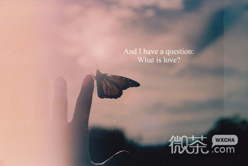 清寂的絮语非主流伤感朋友圈图片合集下载