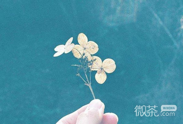 让人心情愉悦的微信唯美朋友圈签名图片合集下载