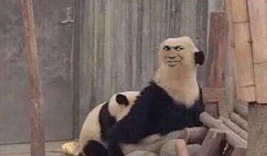 微信爆笑搞怪熊猫头撕逼斗图表情包