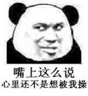 微信逗比撕逼熊猫头表情包