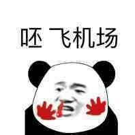 微信爆笑搞怪魔性熊猫头斗图表情包