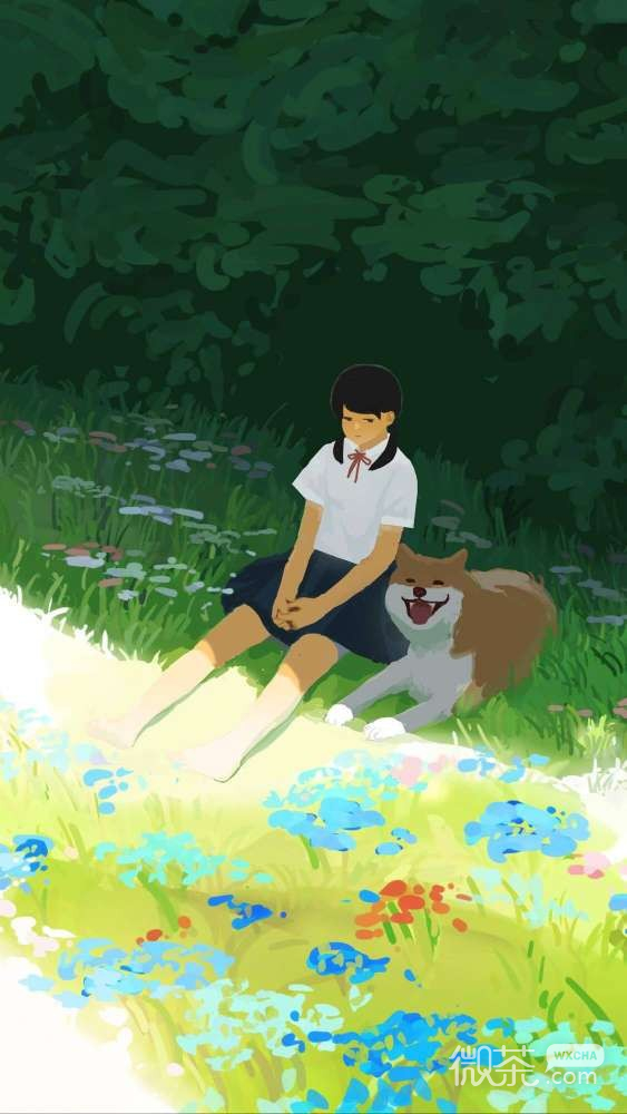 微信插画聊天背景