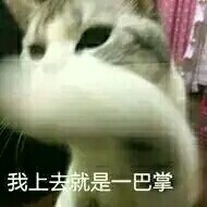 恶搞宠物斗图微信表情包