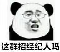 微信傻屌熊猫头斗图表情包合集