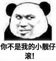 微信调皮熊猫头斗图表情包