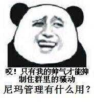 微信调皮熊猫头斗图表情包