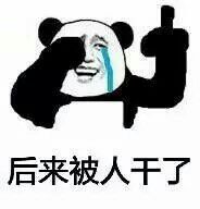 微信调皮熊猫头斗图表情包