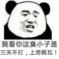 微信爆笑熊猫头群聊撕逼斗图表情包