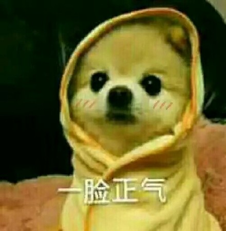 恶搞宠物斗图微信表情包