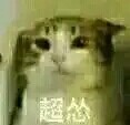 恶搞宠物斗图微信表情包