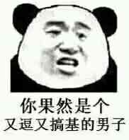 微信调皮熊猫头斗图表情包