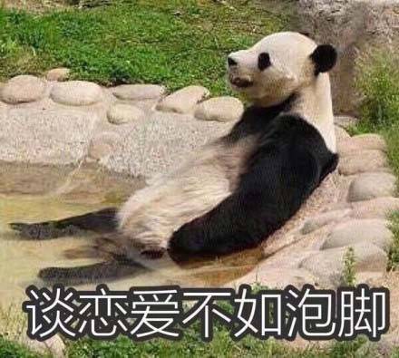 微信调皮熊猫头斗图表情包