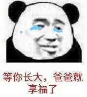 微信爆笑熊猫头群聊撕逼斗图表情包