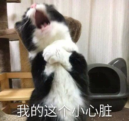 恶搞滑稽斗图微信表情包