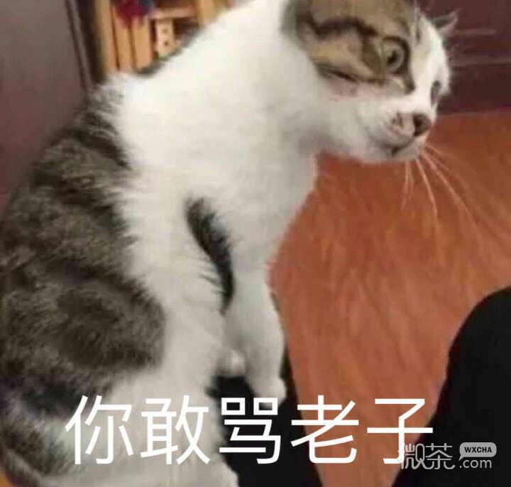恶搞滑稽斗图微信表情包