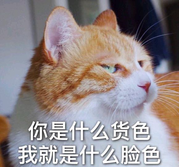 可爱喵星人微信表情包