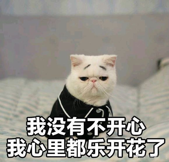 可爱喵星人微信表情包