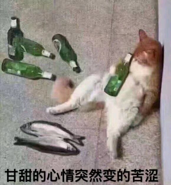 超可爱喵星人微信表情包