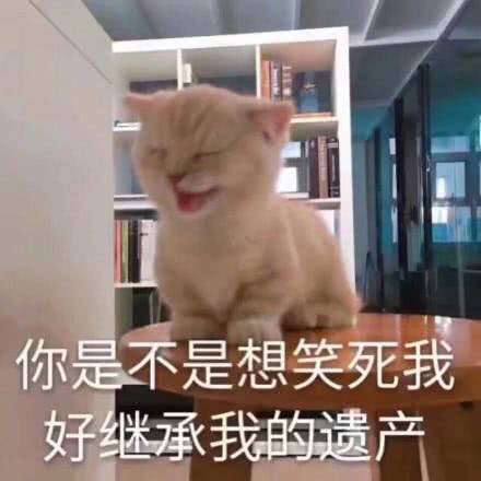 微信恶搞喵星人撕逼群聊斗图表情包