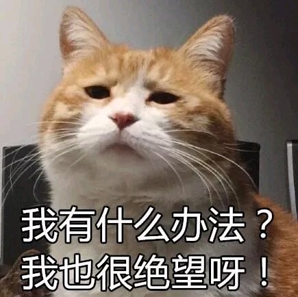 恶搞滑稽斗图微信表情包