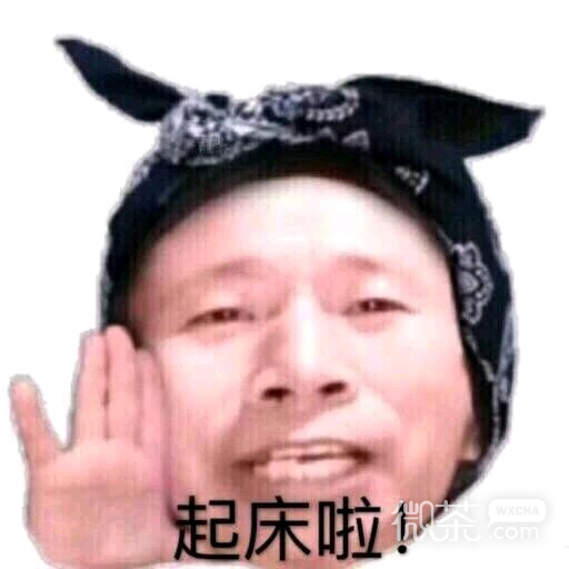 笑不出来微信恶搞熊猫头撕逼斗图微信表情包