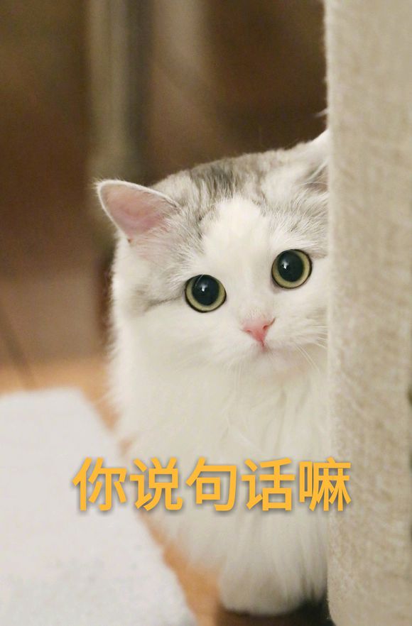 超可爱喵星人微信表情包