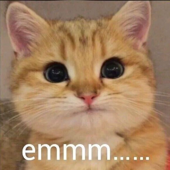 可爱喵星人微信表情包