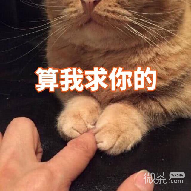 微信恶搞喵星人撕逼群聊斗图表情包