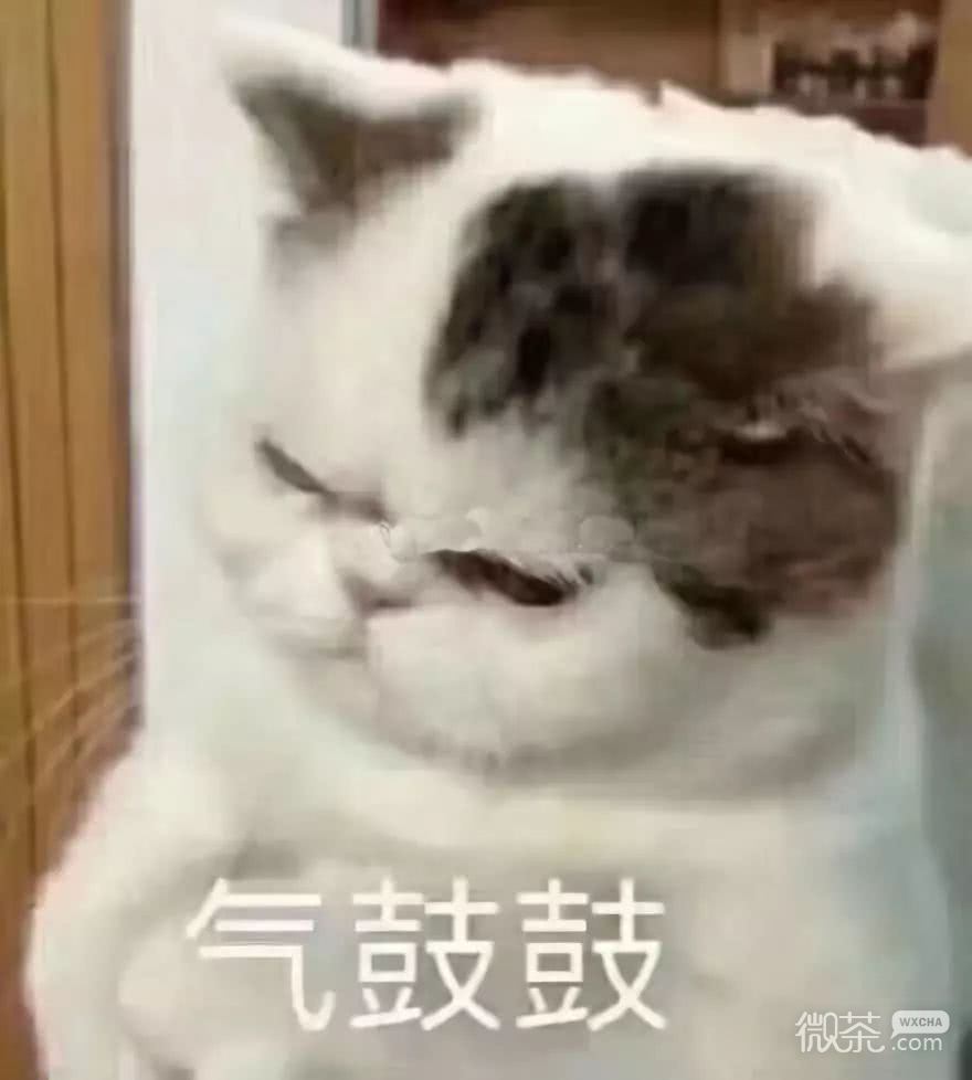 微信恶搞喵星人撕逼群聊斗图表情包