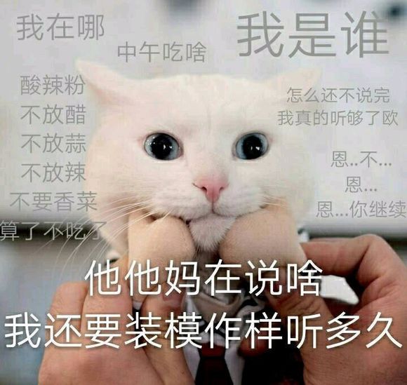 可爱喵星人微信表情包