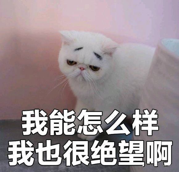 微信超可爱蠢萌喵星人表情包