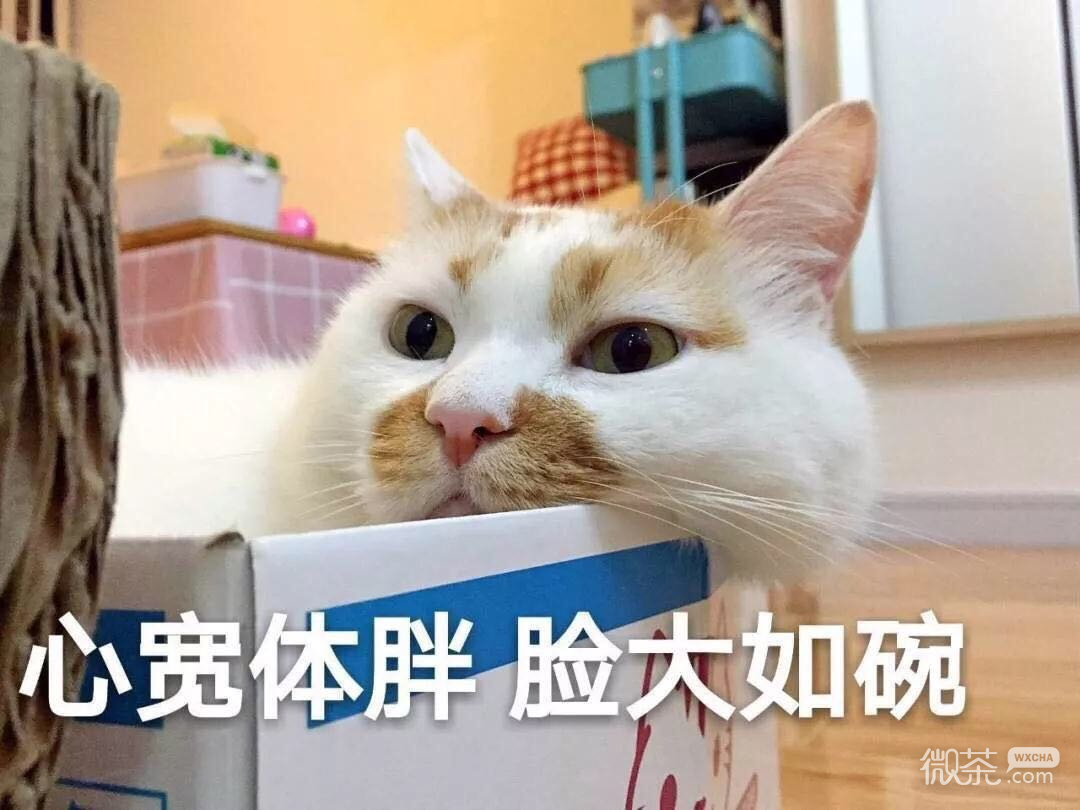 恶搞滑稽斗图微信表情包