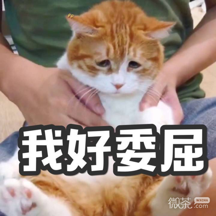 微信恶搞喵星人撕逼群聊斗图表情包
