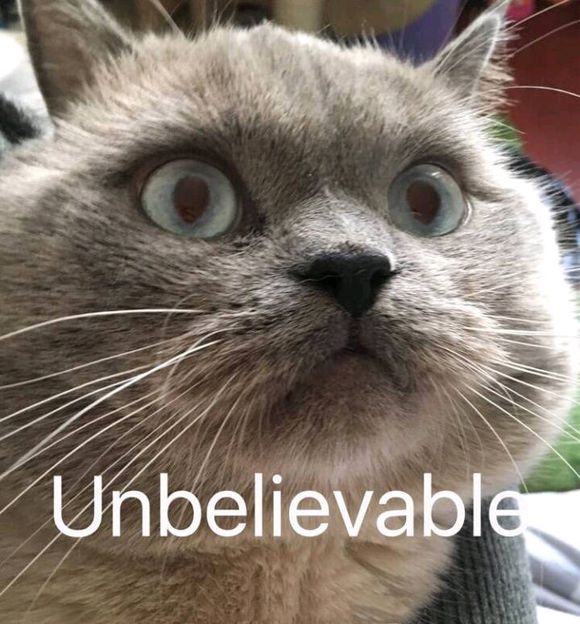 微信超可爱蠢萌喵星人表情包