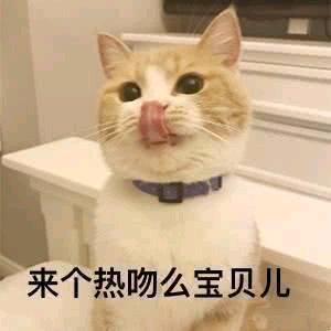 微信恶搞喵星人撕逼群聊斗图表情包
