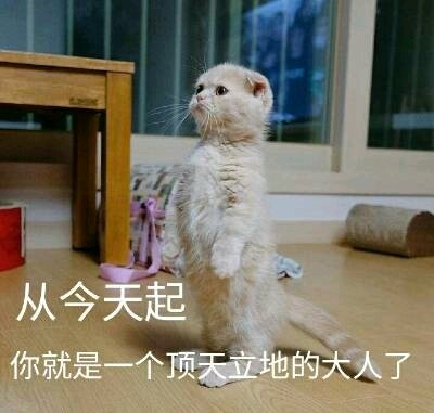 微信搞笑喵星人表情包