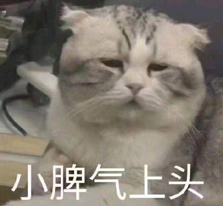 恶搞滑稽斗图微信表情包