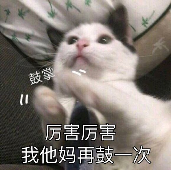 可爱喵星人微信表情包