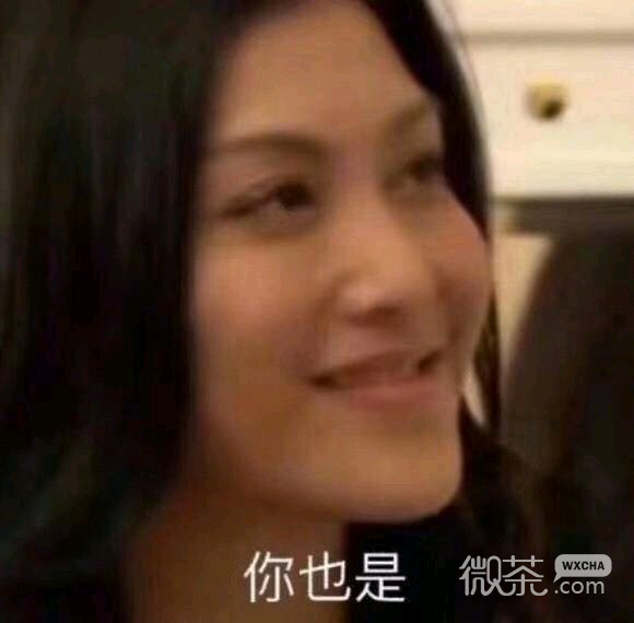 笑不出来微信恶搞熊猫头撕逼斗图微信表情包