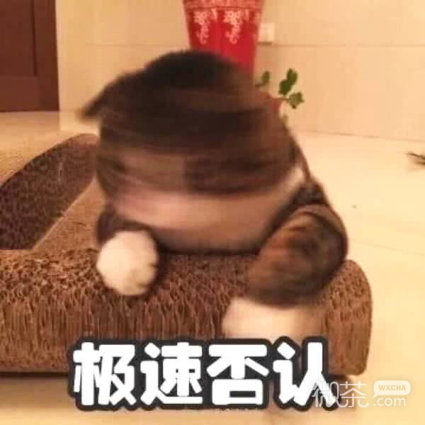 微信恶搞喵星人撕逼群聊斗图表情包